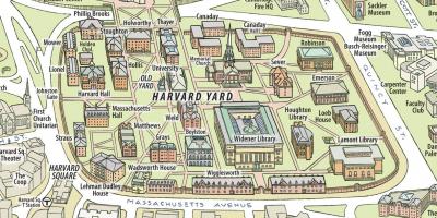 Carte de l'université de Harvard
